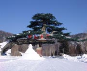 爱民今天天气