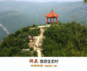 洞头天气预报40天