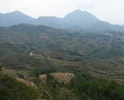 大田明天天气